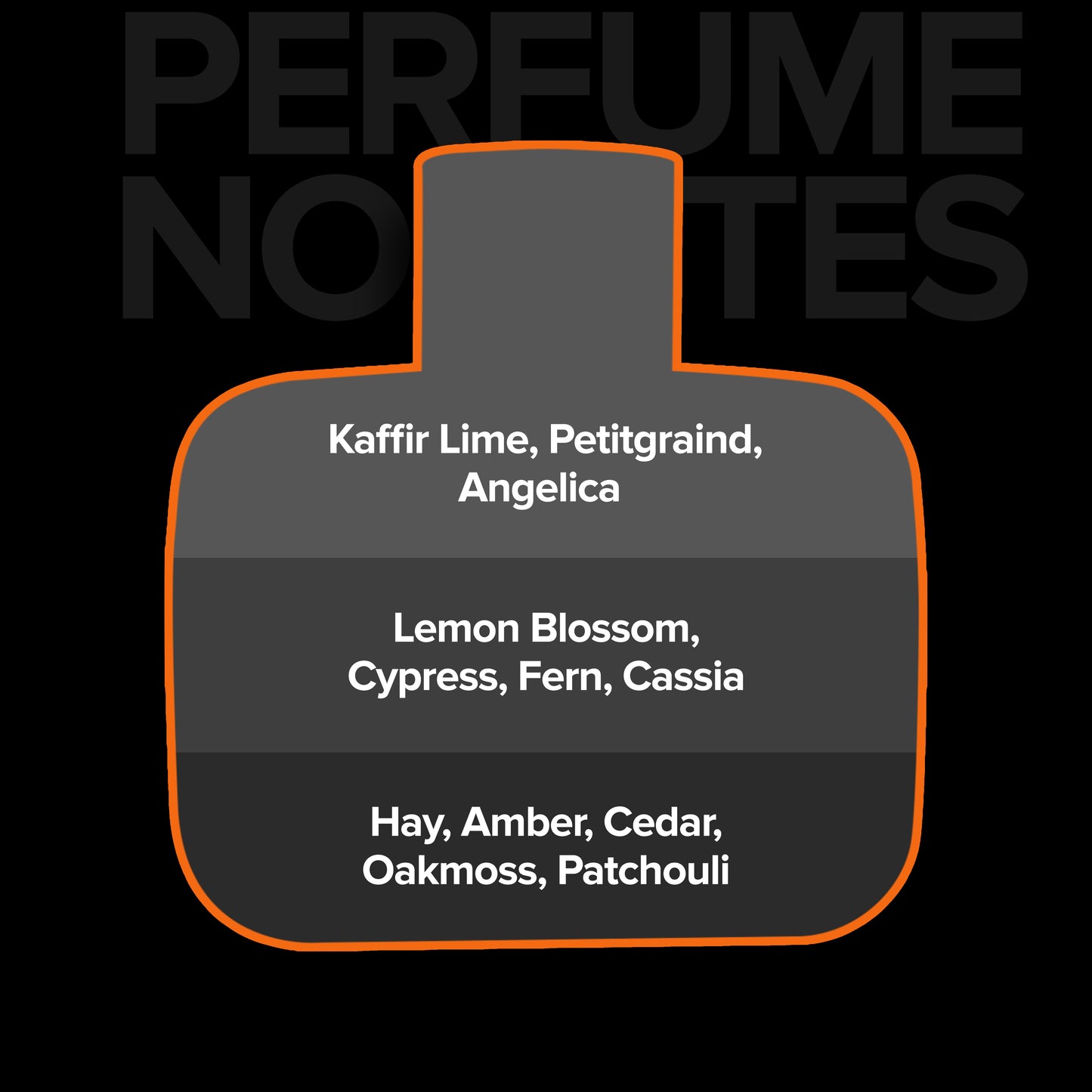 On the Rocks 100 ml EDP Bold, Electric Unforgettable