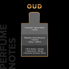 Load image into Gallery viewer, Villain Oud Eau De Parfum for Men, 20ml
